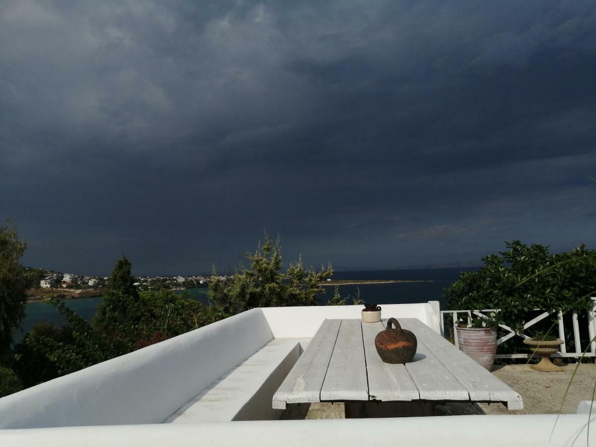 Artemis Villa Near Athens Airport Markopoulo Mesogaias Экстерьер фото