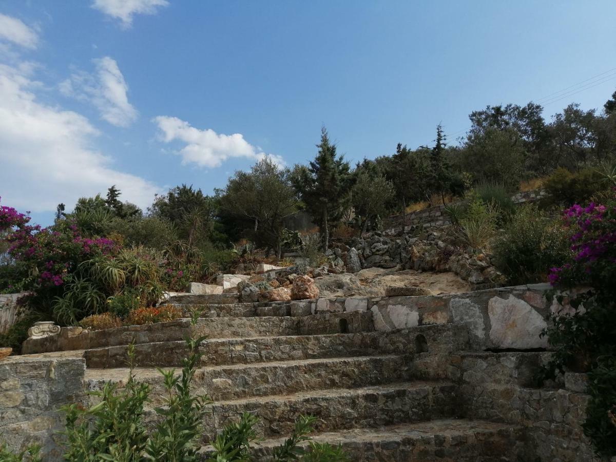 Artemis Villa Near Athens Airport Markopoulo Mesogaias Экстерьер фото